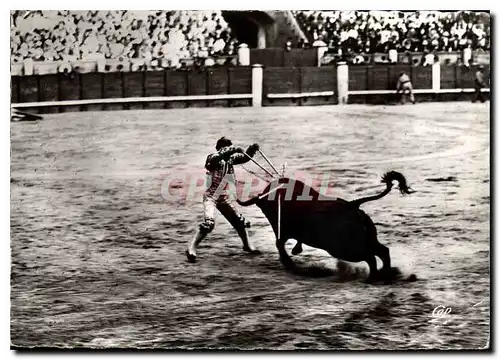 Cartes postales moderne Courses de Taureaux Pose de Banderilles au Cuarto Corrida