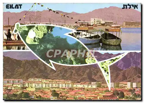 Cartes postales moderne Eilat