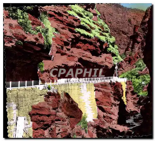 Cartes postales moderne Les Alpes Maritimes Gorges du Cians la Petite Clue