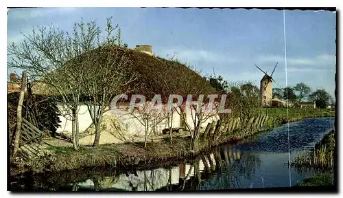 Cartes postales moderne En Vendee une Bourrine Moulin a vent