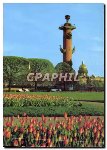 Cartes postales moderne Russie Russia