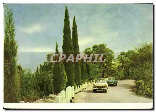 Cartes postales moderne Crimea Road to the Sanatorium Golden Beach