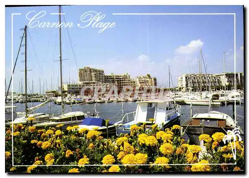 Cartes postales moderne Le Languedoc Carnon Plage le Port