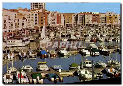 Cartes postales moderne Le Littoral Languedocien le Cap d'Agde le Port