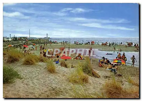 Moderne Karte Agde Le Grau Herault l aplage de la Tamarisseire