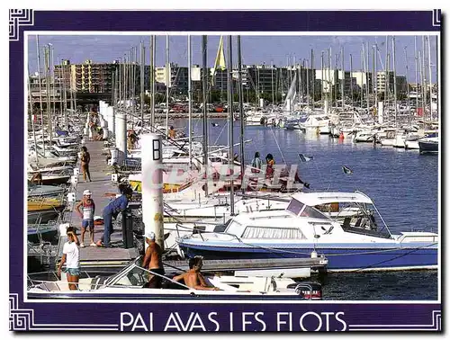Cartes postales moderne Palavas les Flots le Port