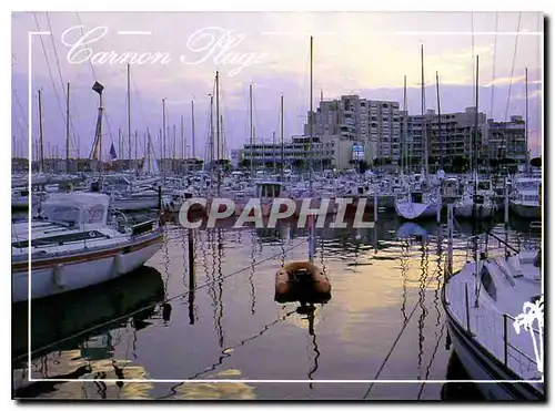 Cartes postales moderne Le Languedoc Carnon plage le nouveau port