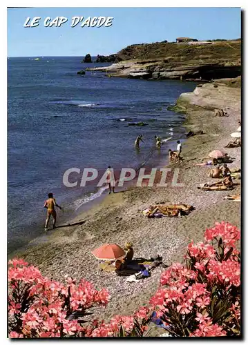Cartes postales moderne Le Cap d'Agde Les rochers des Freres Jumeaux la plage