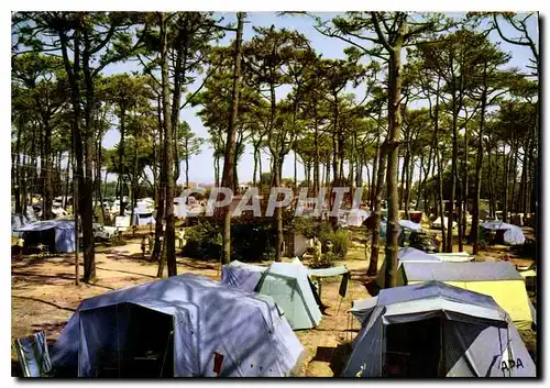 Moderne Karte La Tamarissiere Herault le camping