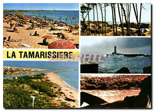 Cartes postales moderne En Parcourant la Cote Mediterraneenne La Tamarissiere Herault