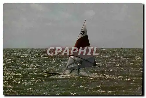 Cartes postales moderne Planche a voile en mer