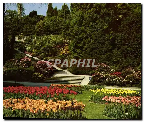 Moderne Karte Insel Mainau im Bodensee Ufergartem mit Tulpen und Rhododendron Treppe Chemins de Fer en lignes