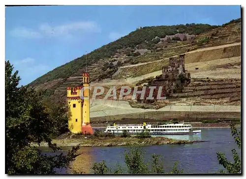 Cartes postales moderne Mauseturm mit Ruine Ehrenfels Bei Binger am Rhein