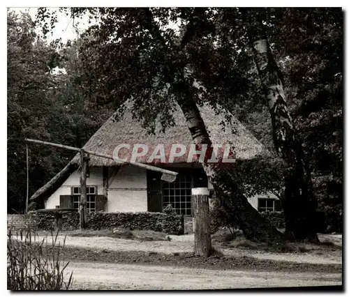 Cartes postales moderne Gelders Los Hoes Lichtenvoorde Gld