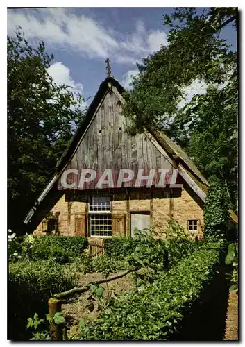 Cartes postales moderne Boerderij Beltrum Gld