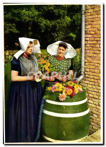 Cartes postales moderne Zuid Beveland Costume de Visite