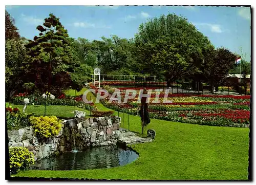Cartes postales moderne Holland Land of Flowers