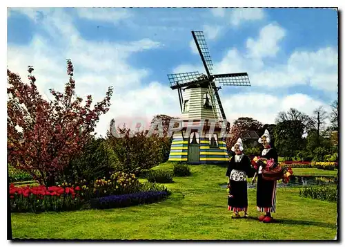 Moderne Karte Holland Land of Flowers and Wind mills