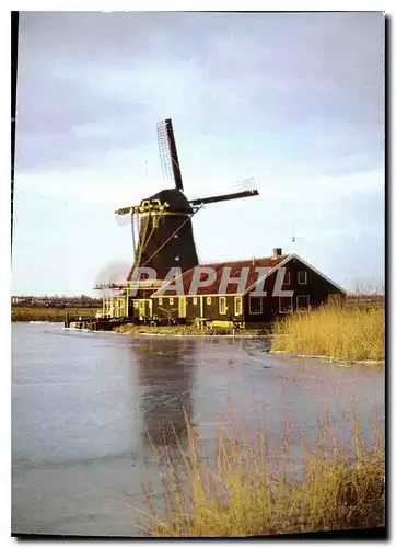 Cartes postales moderne De Zaanse Schans Verlmolen de Kat