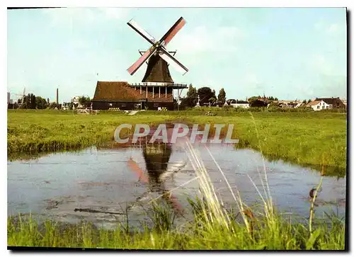 Cartes postales moderne De Zaanse Schans Verlmolen de Kat