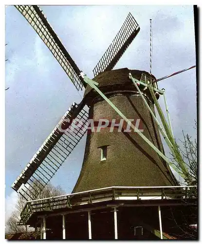 Cartes postales moderne Koog ald Zaan Oliemolen Het Pink