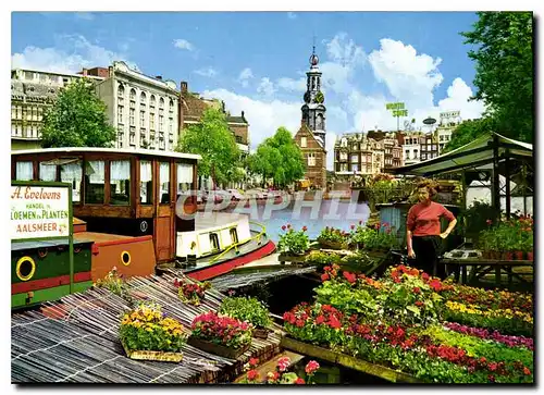Cartes postales moderne Amsterdam Marche des fleurs singel