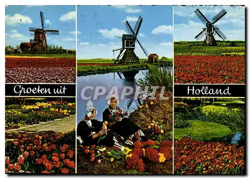 Moderne Karte Groeten uit Holland