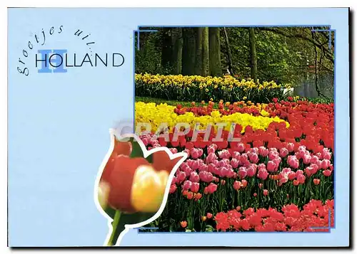 Cartes postales moderne Groetjes uit Holland
