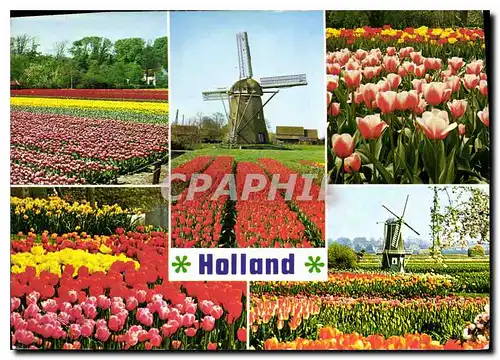 Cartes postales moderne Holland