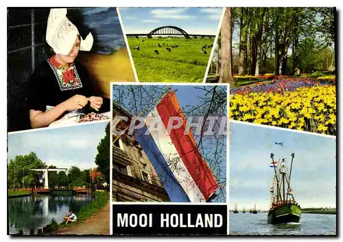 Cartes postales moderne Mooi Holland