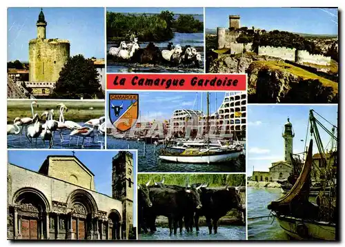 Moderne Karte La Camargue Gardoise Aigues Mortes Beaucaire Port Camargue Saint Gilles Grau du Roi