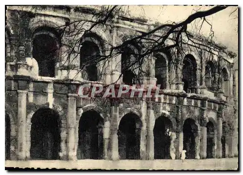 Cartes postales moderne Nimes les Arenes