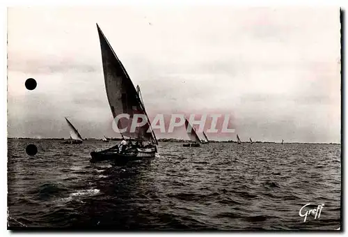 Cartes postales moderne En Languedoc le Grau du Roi Gard retour de peche