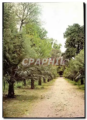 Moderne Karte Domaine de Prafrance Par Anduze Gard Allee de Palmiers