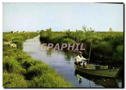 Moderne Karte En Camargue les as de la peche