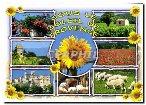 Cartes postales moderne Sous le Soleil de Provence