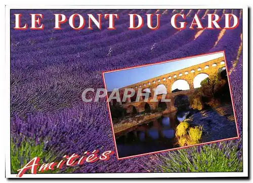 Cartes postales moderne Gard le Pont du Gard