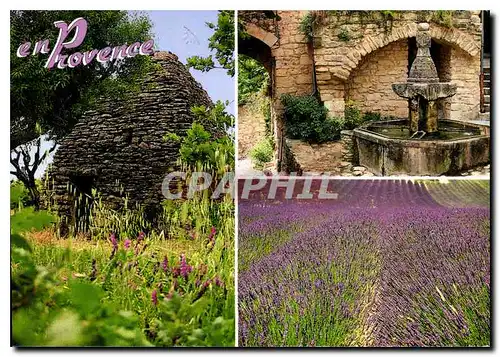 Cartes postales moderne Les Belles Images de Provence