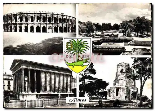 Cartes postales moderne Nimes les Arenes Jardin de la Fontaine la maison Carree la tour Magne