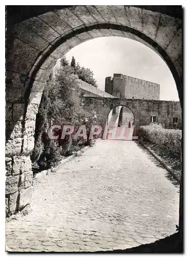 Cartes postales moderne Aigues Mortes Gard la Porte de la Gardette vue de la Douane