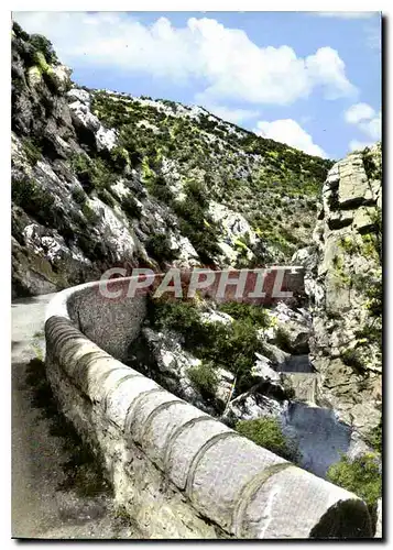 Cartes postales moderne Saint Hippolyte du Fort Gard Les gorges de la Cadiere