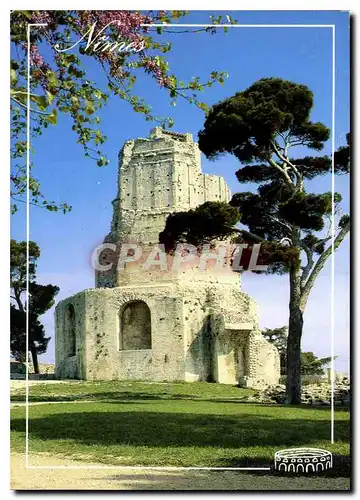 Cartes postales moderne Le Languedoc Nimes la tour Magne