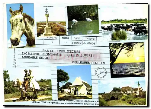 Cartes postales moderne En souvenir d'une agreable promenade en Camarque