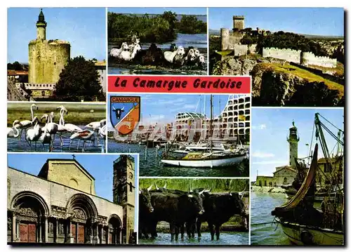 Cartes postales moderne La Camargue Gardoise Aigues Mortes Beaucaire Port Camargue Saint Gilles Grau du Roi