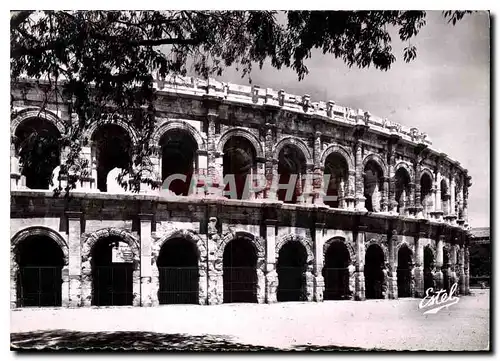 Cartes postales moderne Nimes Les Arenes