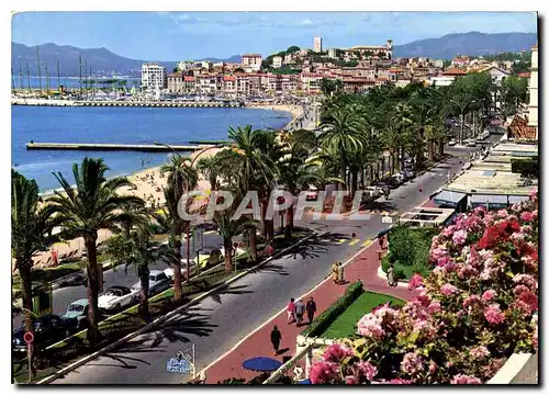 Cartes postales moderne Cannes Cote d'Azur la croisette au fond le Suquet