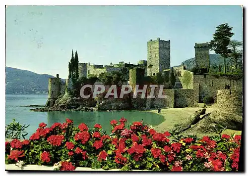 Cartes postales moderne La Napoule Cote d'Azur le Chateau Musee