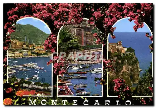 Cartes postales moderne Monte Carlo