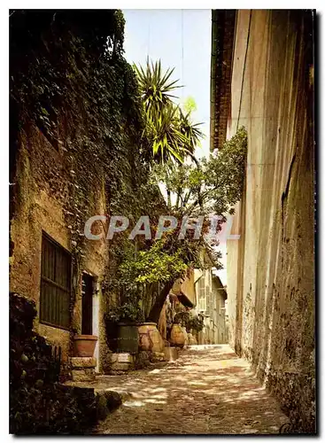 Cartes postales moderne Cagnes sur mer A M rue Saint Roch