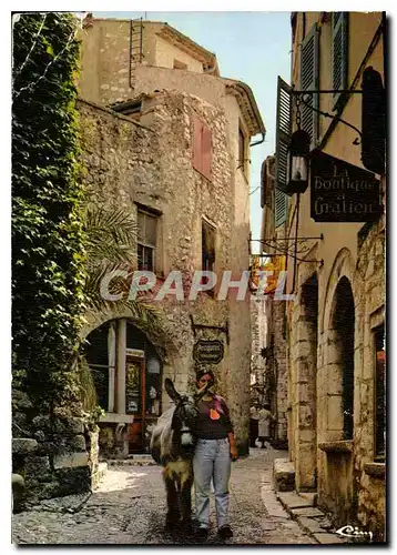 Cartes postales moderne Saint Paul Alp Mar une vieille rue